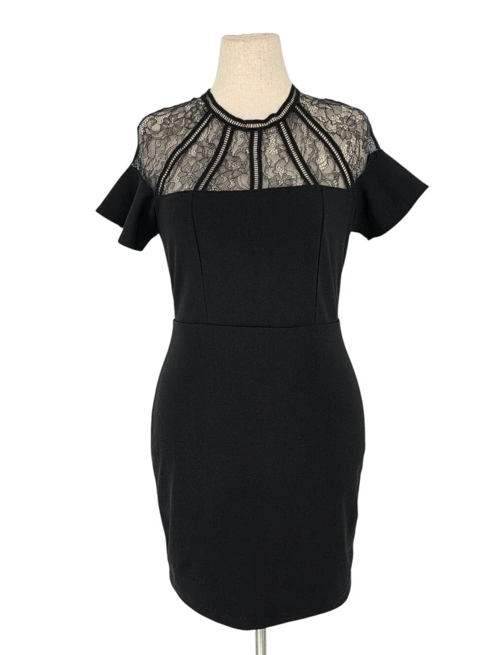 Express Black Lace Illusion Sheath Cocktail Dress Flutter Sleeve Medium M